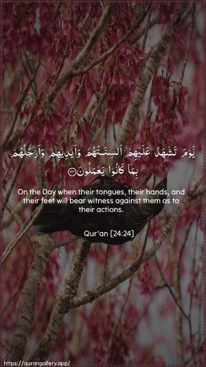 An-Noor Ayah 24 - Arabic + English wallpaper