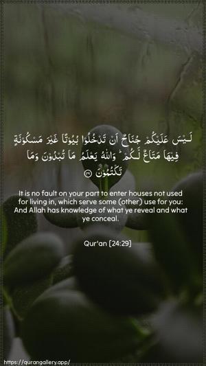 An-Noor Ayah 29 - Arabic + English wallpaper