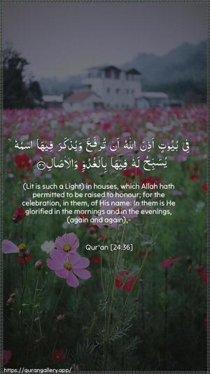 An-Noor Ayah 36 - Arabic + English wallpaper