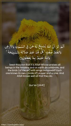 An-Noor Ayah 41 - Arabic + English wallpaper
