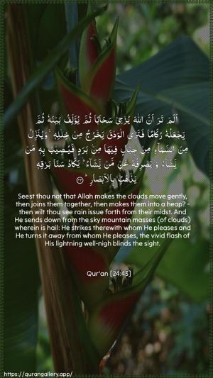 An-Noor Ayah 43 - Arabic + English wallpaper