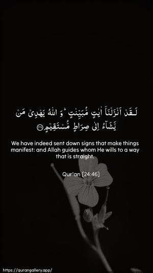 An-Noor Ayah 46 - Arabic + English wallpaper