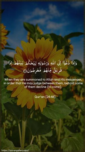 An-Noor Ayah 48 - Arabic + English wallpaper