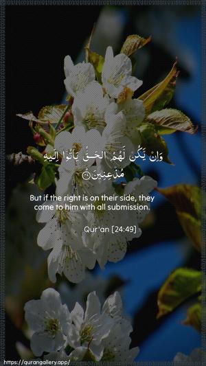 An-Noor Ayah 49 - Arabic + English wallpaper