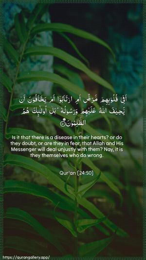 An-Noor Ayah 50 - Arabic + English wallpaper