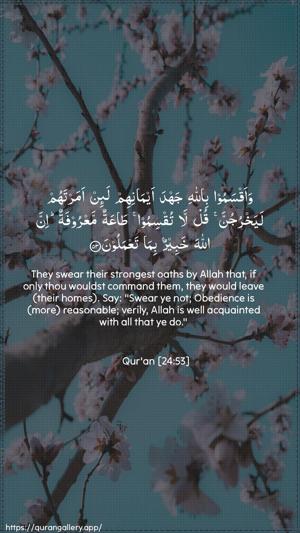 An-Noor Ayah 53 - Arabic + English wallpaper