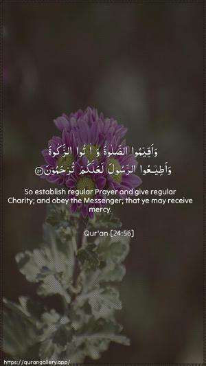 An-Noor Ayah 56 - Arabic + English wallpaper