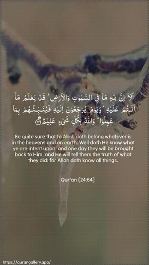 An-Noor Ayah 64 - Arabic + English wallpaper