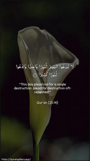 Al-Furqaan Ayah 14 - Arabic + English wallpaper