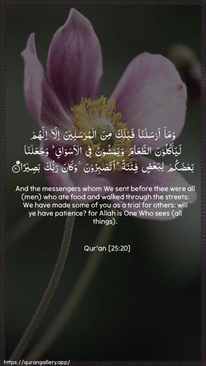 Al-Furqaan Ayah 20 - Arabic + English wallpaper