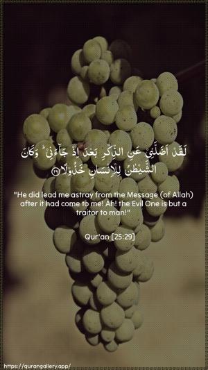 Al-Furqaan Ayah 29 - Arabic + English wallpaper