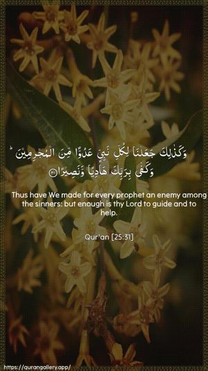 Al-Furqaan Ayah 31 - Arabic + English wallpaper