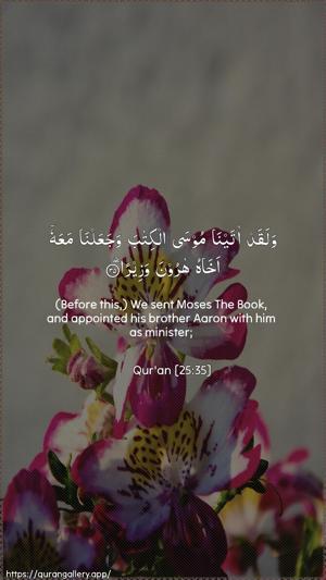 Al-Furqaan Ayah 35 - Arabic + English wallpaper