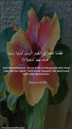 Al-Furqaan Ayah 36 - Arabic + English wallpaper