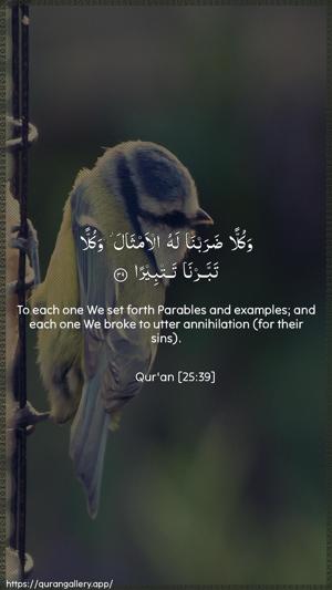 Al-Furqaan Ayah 39 - Arabic + English wallpaper