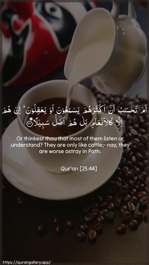 Al-Furqaan Ayah 44 - Arabic + English wallpaper