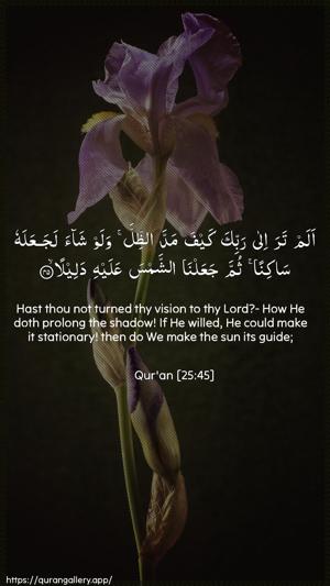 Al-Furqaan Ayah 45 - Arabic + English wallpaper