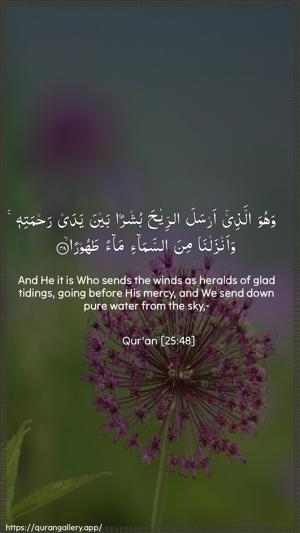 Al-Furqaan Ayah 48 - Arabic + English wallpaper
