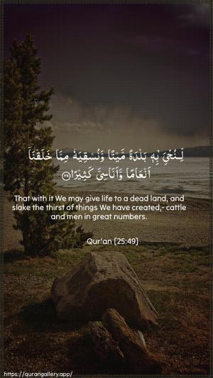 Al-Furqaan Ayah 49 - Arabic + English wallpaper