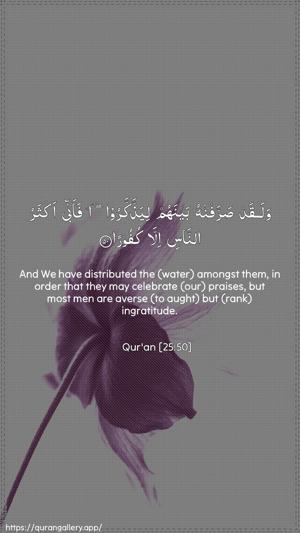 Al-Furqaan Ayah 50 - Arabic + English wallpaper