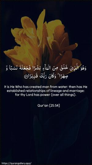 Al-Furqaan Ayah 54 - Arabic + English wallpaper