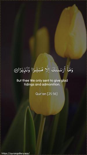 Al-Furqaan Ayah 56 - Arabic + English wallpaper