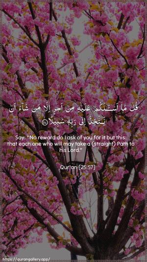 Al-Furqaan Ayah 57 - Arabic + English wallpaper