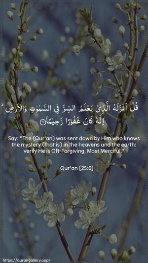 Al-Furqaan Ayah 6 - Arabic + English wallpaper