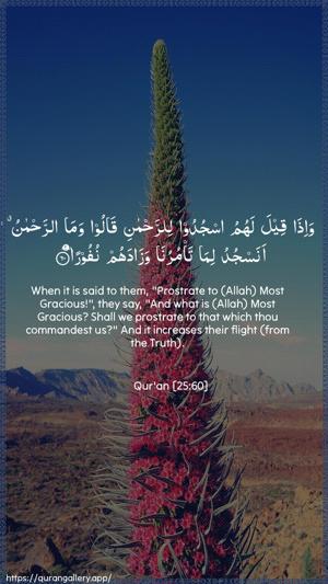 Al-Furqaan Ayah 60 - Arabic + English wallpaper