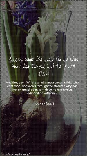 Al-Furqaan Ayah 7 - Arabic + English wallpaper