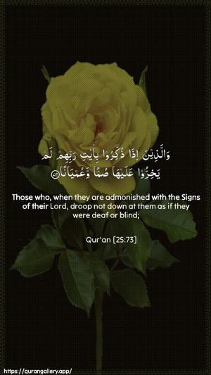 Al-Furqaan Ayah 73 - Arabic + English wallpaper