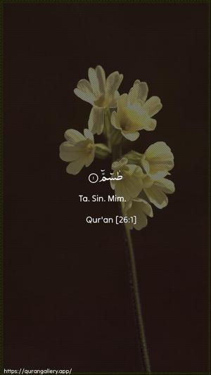 Ash-Shu"araa Ayah 1 - Arabic + English wallpaper