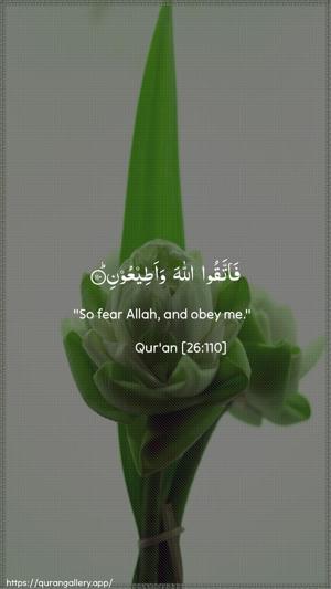 Ash-Shu"araa Ayah 110 - Arabic + English wallpaper