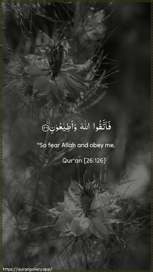 Ash-Shu"araa Ayah 126 - Arabic + English wallpaper