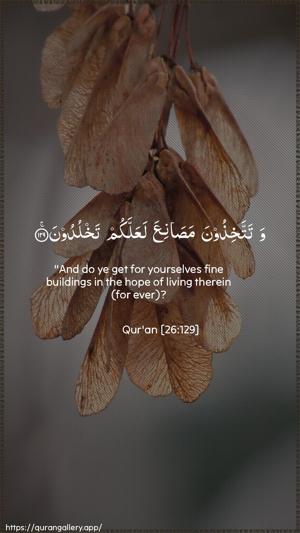 Ash-Shu"araa Ayah 129 - Arabic + English wallpaper