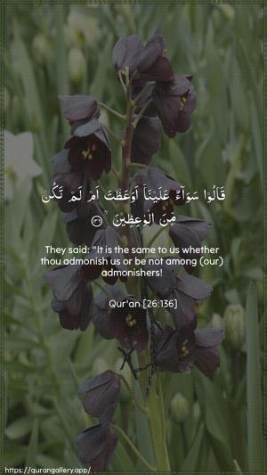 Ash-Shu"araa Ayah 136 - Arabic + English wallpaper