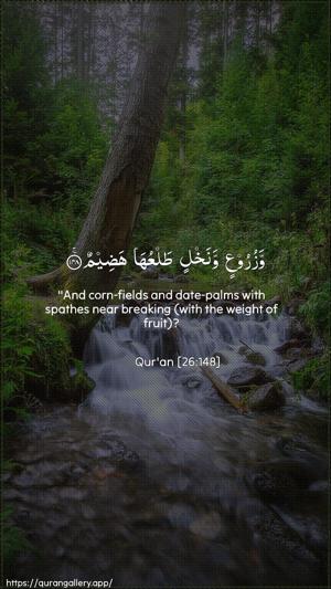 Ash-Shu"araa Ayah 148 - Arabic + English wallpaper