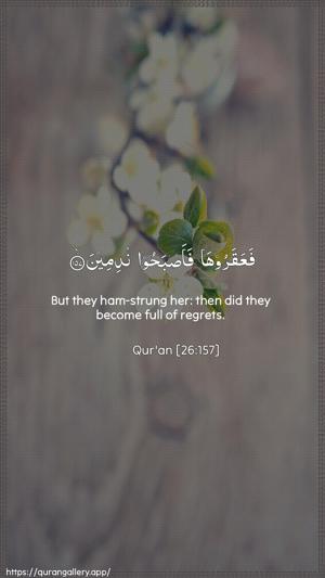Ash-Shu"araa Ayah 157 - Arabic + English wallpaper