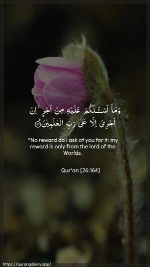 Ash-Shu"araa Ayah 164 - Arabic + English wallpaper