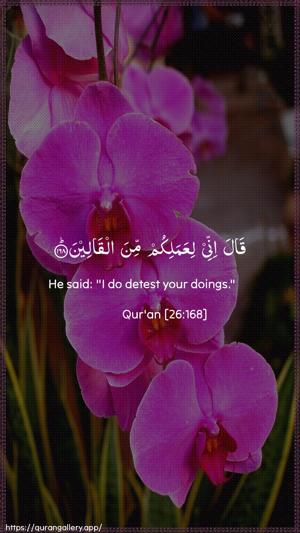 Ash-Shu"araa Ayah 168 - Arabic + English wallpaper