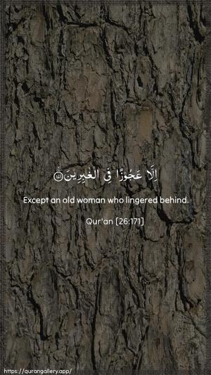 Ash-Shu"araa Ayah 171 - Arabic + English wallpaper