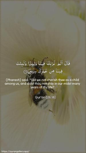 Ash-Shu"araa Ayah 18 - Arabic + English wallpaper