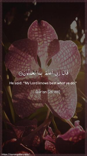 Ash-Shu"araa Ayah 188 - Arabic + English wallpaper