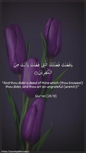 Ash-Shu"araa Ayah 19 - Arabic + English wallpaper