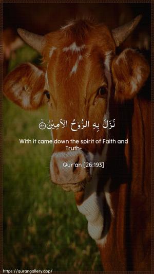 Ash-Shu"araa Ayah 193 - Arabic + English wallpaper