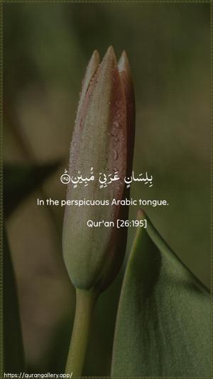 Ash-Shu"araa Ayah 195 - Arabic + English wallpaper