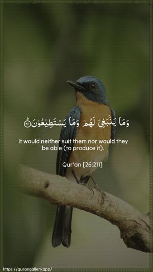 Ash-Shu"araa Ayah 211 - Arabic + English wallpaper