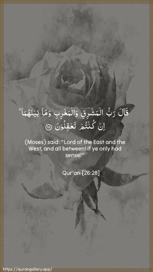 Ash-Shu"araa Ayah 28 - Arabic + English wallpaper