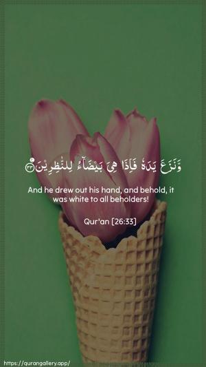 Ash-Shu"araa Ayah 33 - Arabic + English wallpaper