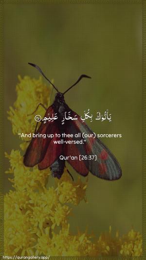 Ash-Shu"araa Ayah 37 - Arabic + English wallpaper
